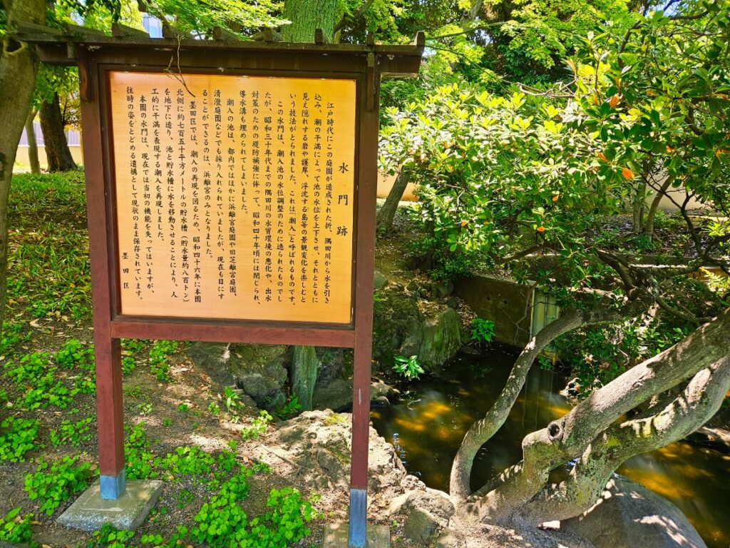 もともとは隅田川の水を引き入れていた「潮入り庭園」。水を活かした歴史ある庭園なんです。