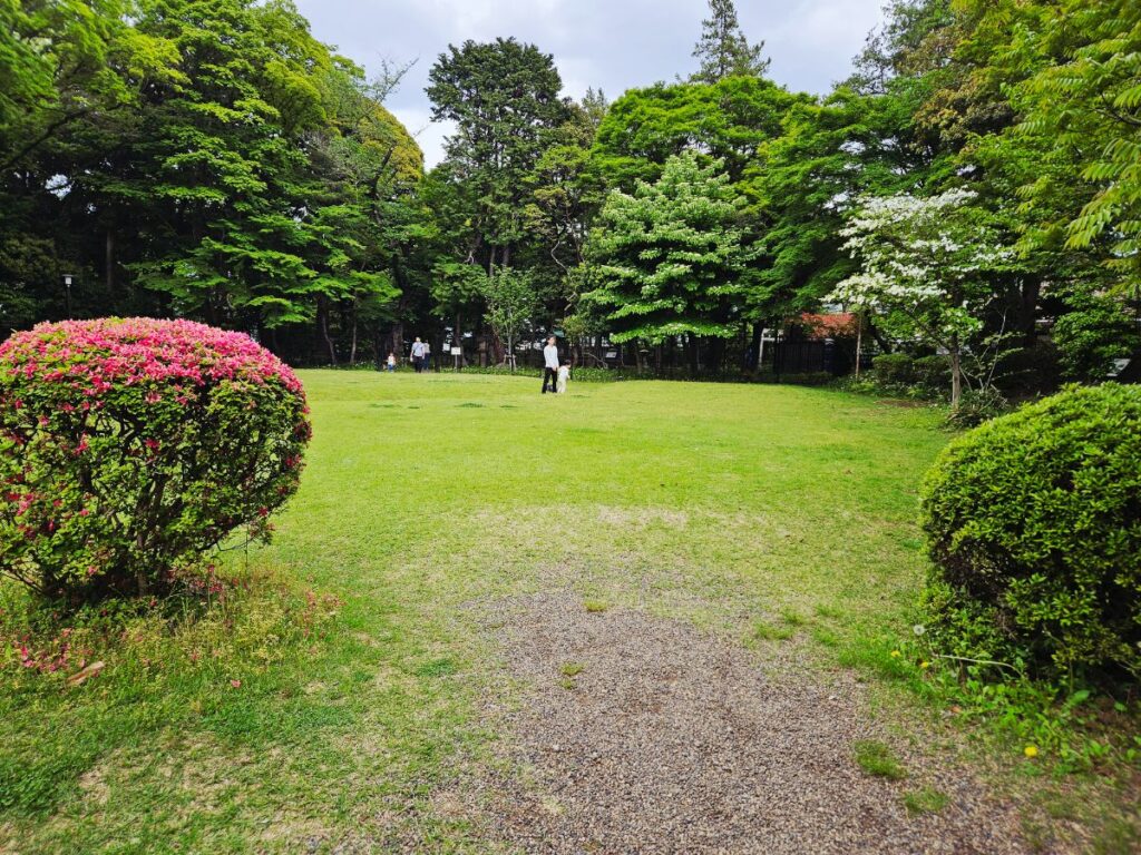 周辺の博物館と一緒に回れば、1日のおでかけにもできます!