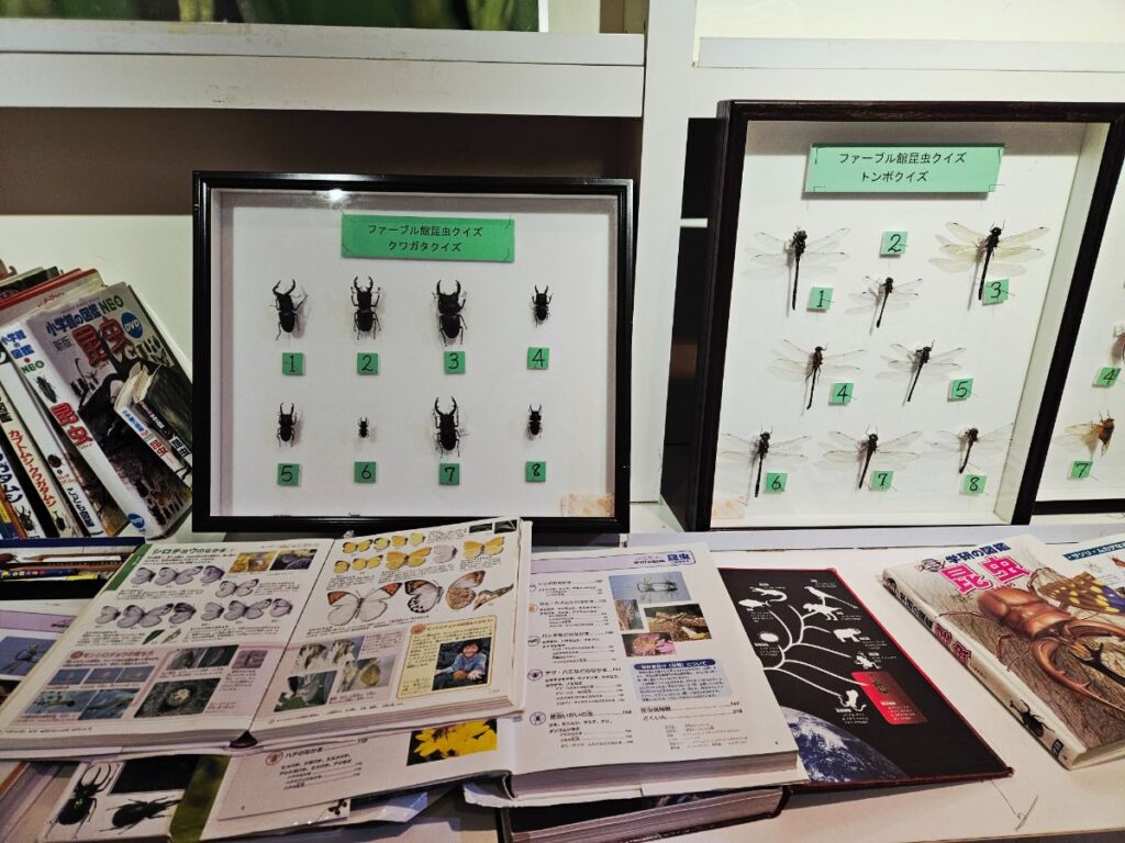 文字が読めなくても楽しめる展示があります。「これなに?」「どこにいる?」と親子の会話が自然に生まれます。