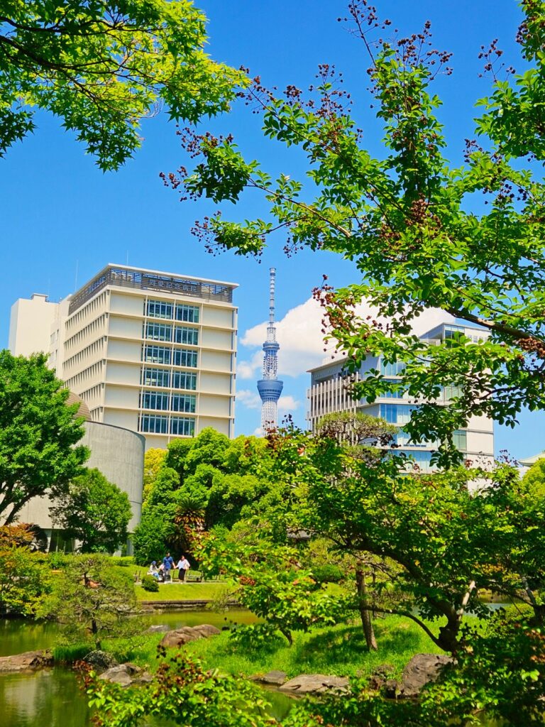 池越しにスカイツリーが見えることも!都会らしさと和の景色が同時に楽しめます。