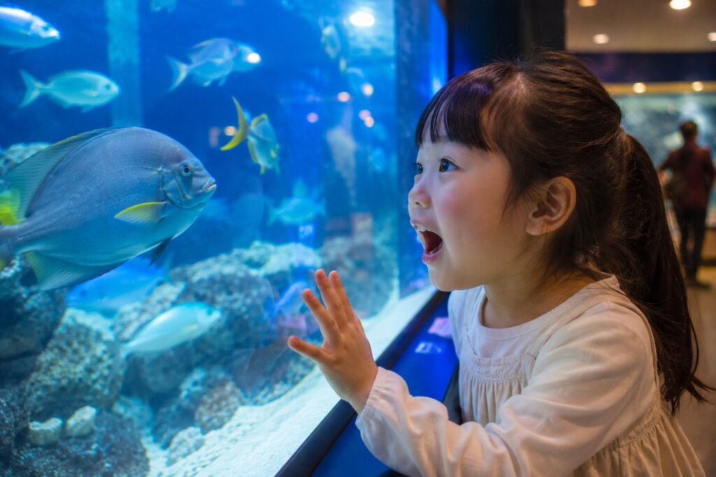 水族館で喜ぶ子供