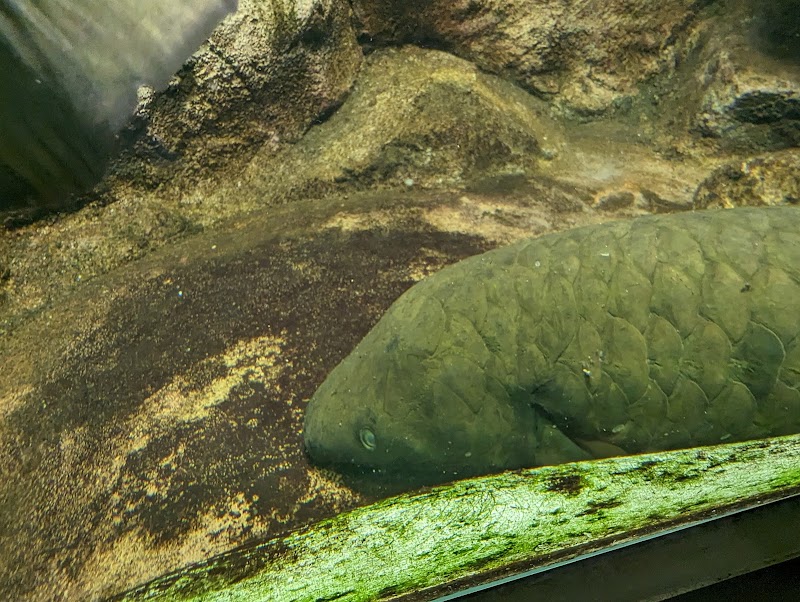さいたま水族館