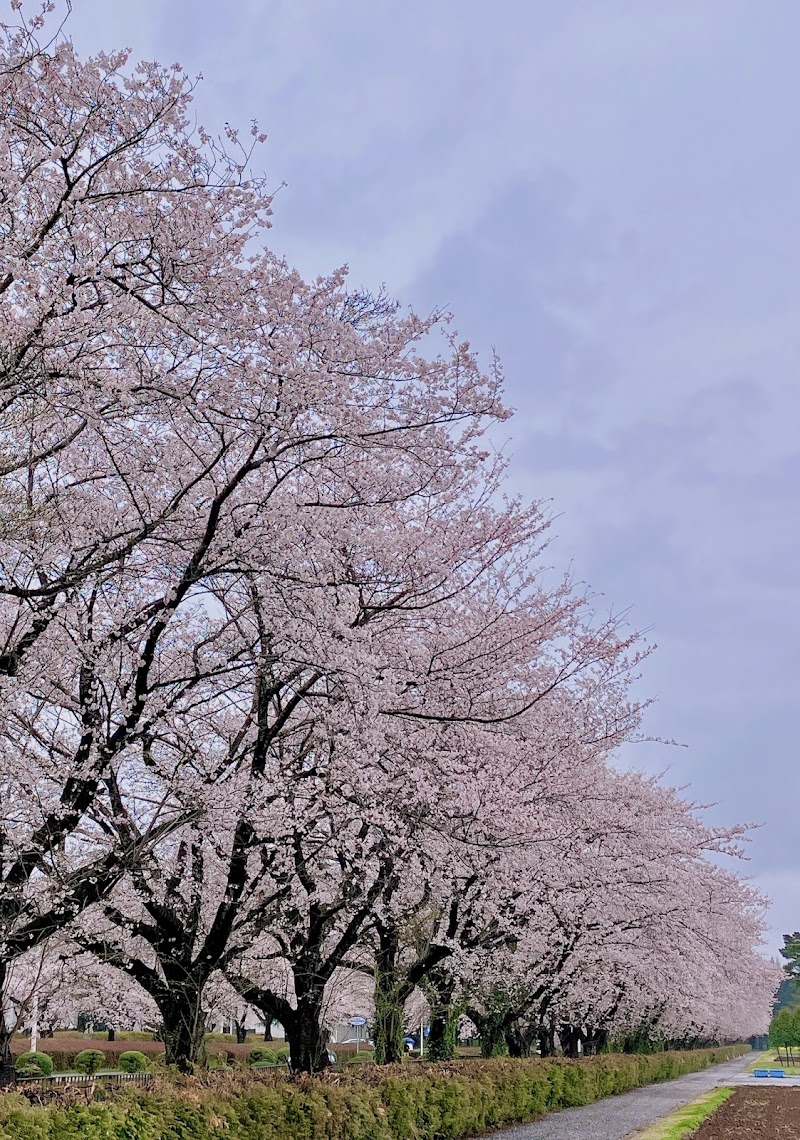 食と農の科学館