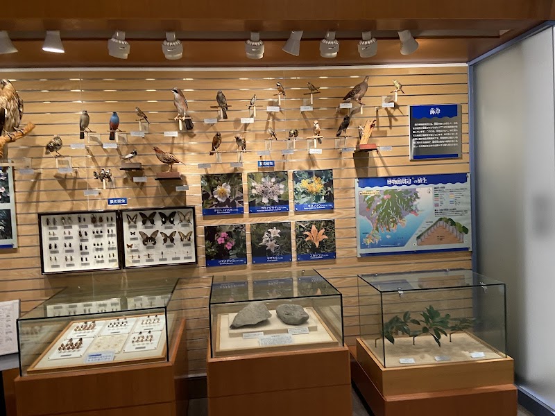 千葉県立中央博物館分館 海の博物館