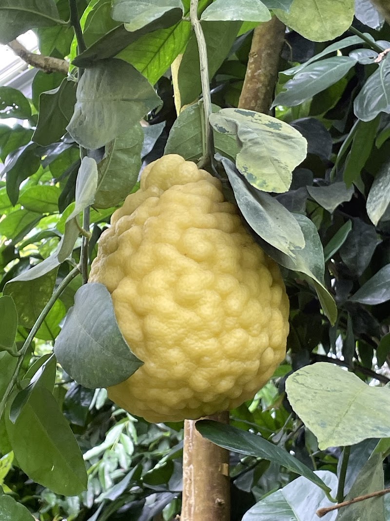 国立科学博物館筑波実験植物園