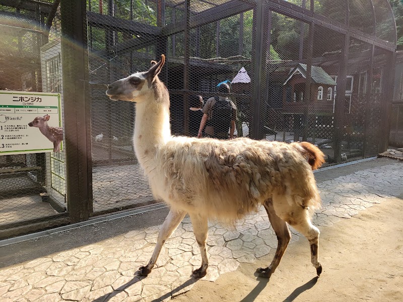 サユリワールド・市原ぞうの国～ANIMAL WONDER REZOURT～