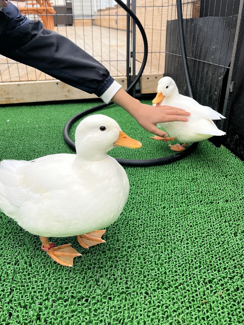 アクアパーク川越