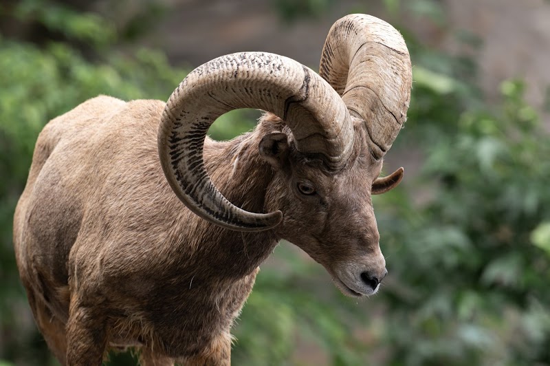 横浜市立金沢動物園