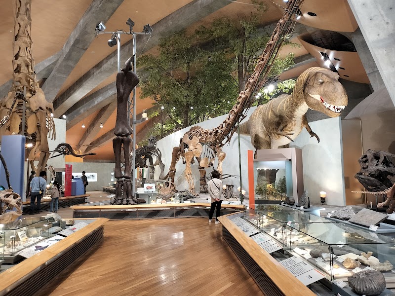 群馬県立自然史博物館