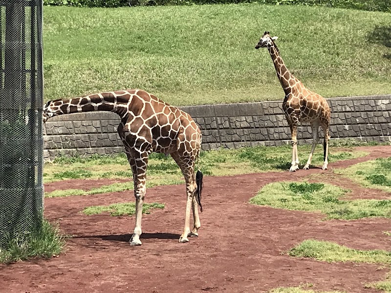 わくわくあにまるフィールド