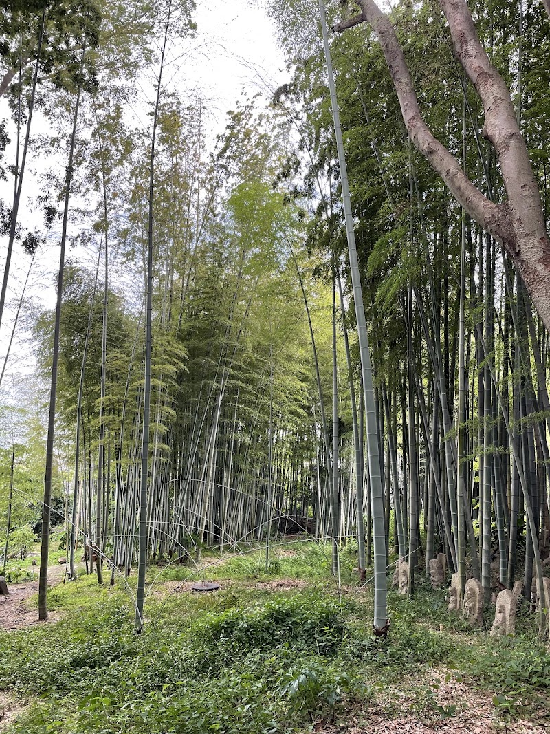 カスヤの森現代美術館