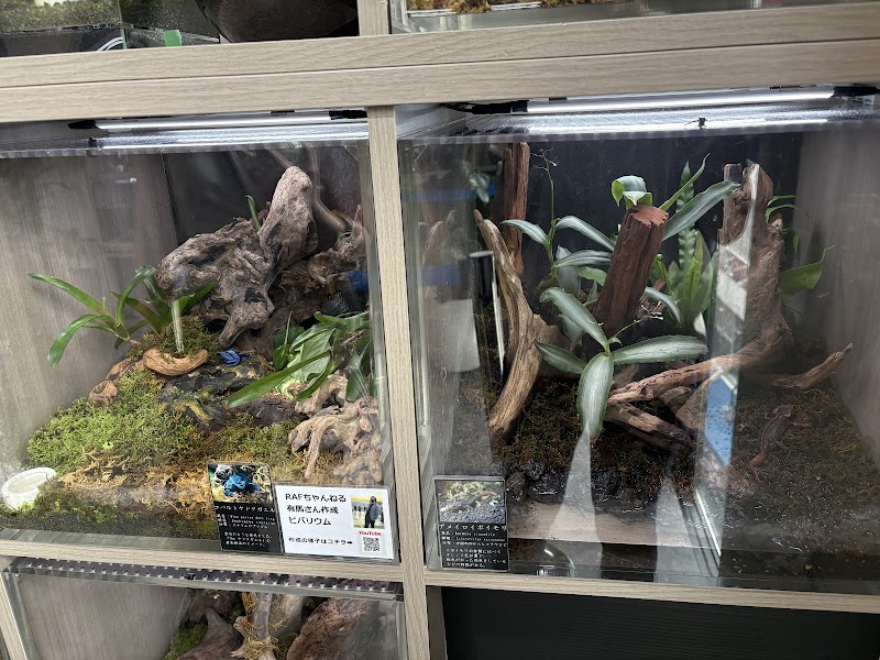 アクアパーク川越