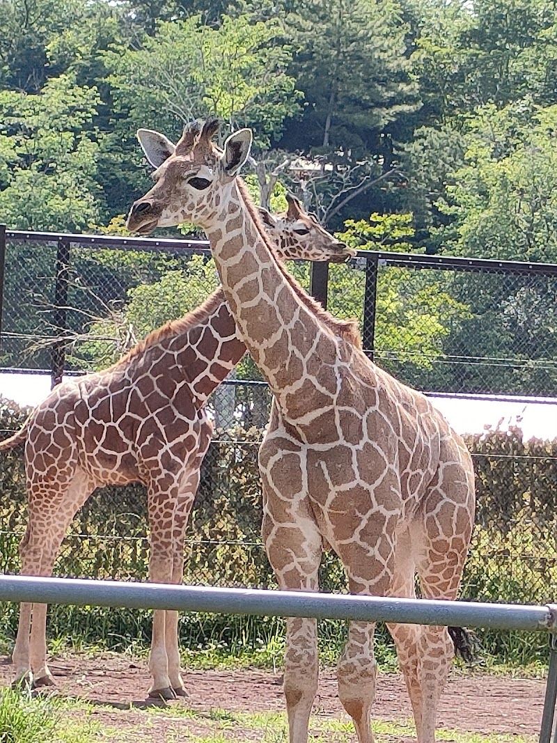 埼玉県こども動物自然公園