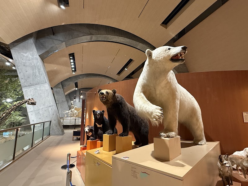 群馬県立自然史博物館