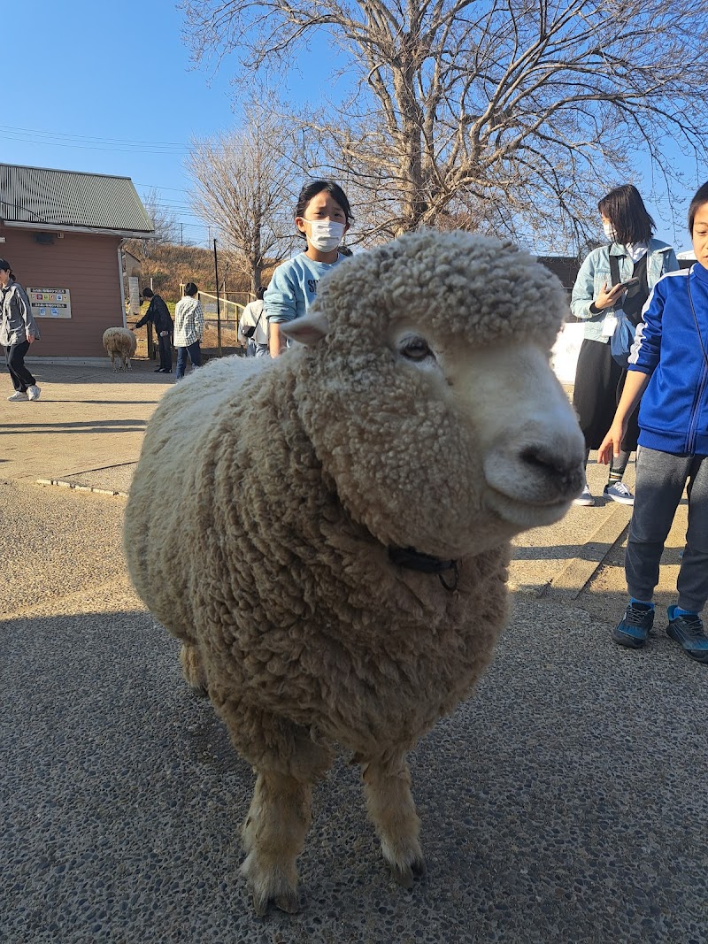 ふれあい牧場