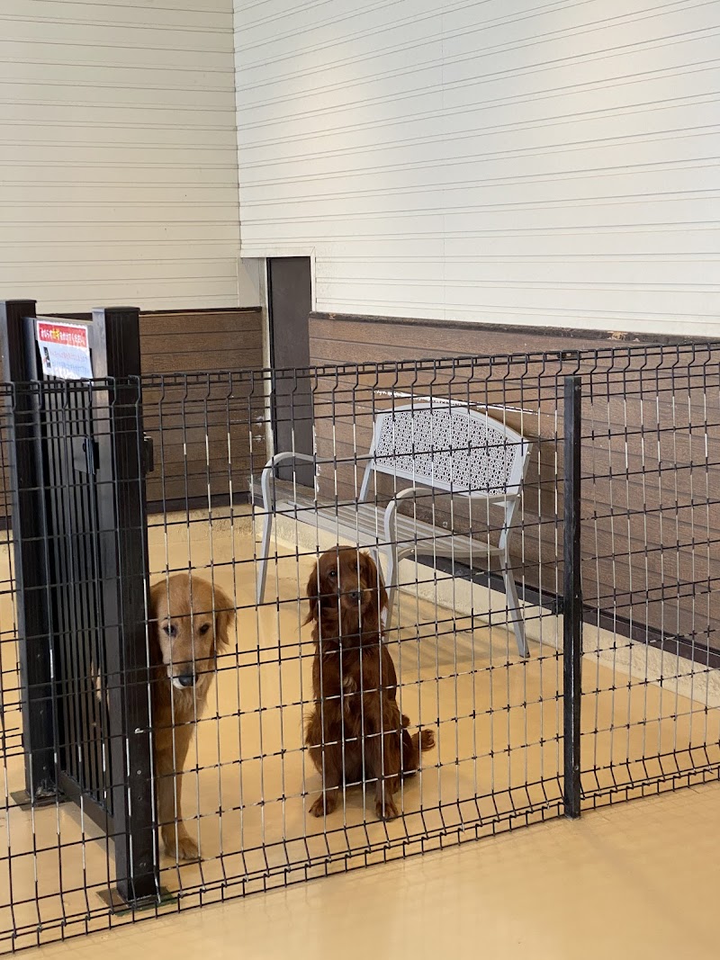 世界の名犬牧場