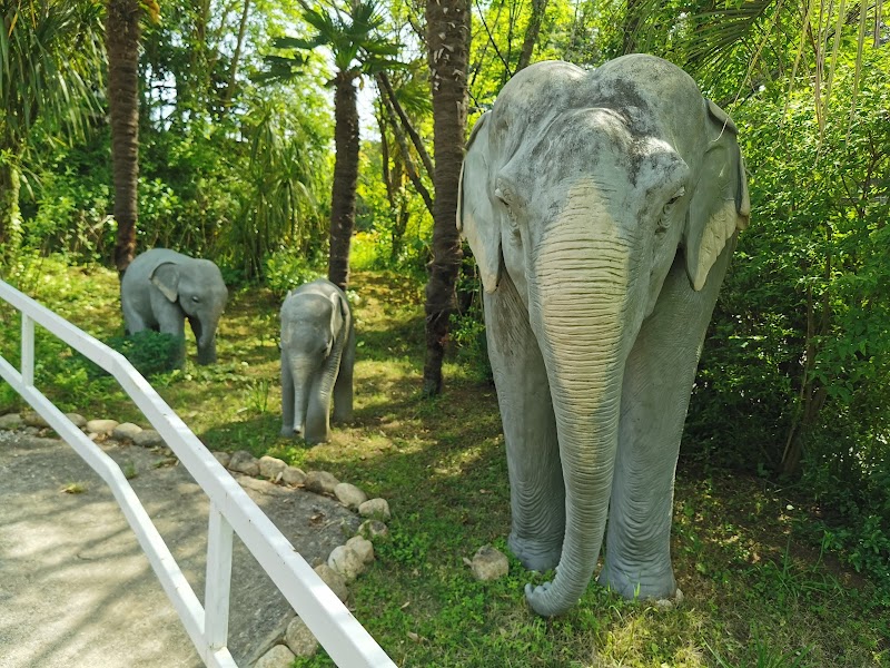 市原ぞうの国・サユリワールド～ANIMAL WONDER REZOURT～