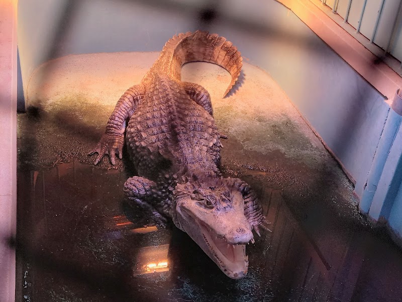 桐生が岡公園 水族館