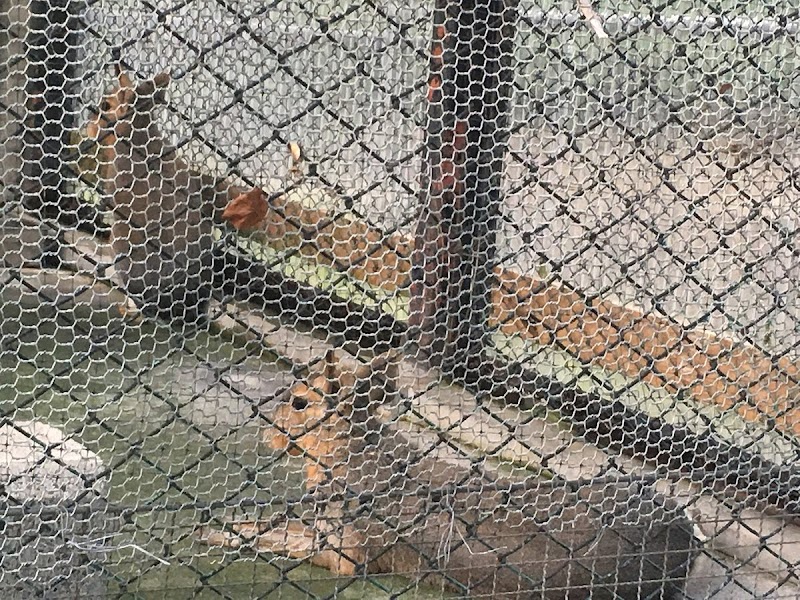 未来へはばたけ 山田製作所 桐生が岡動物園