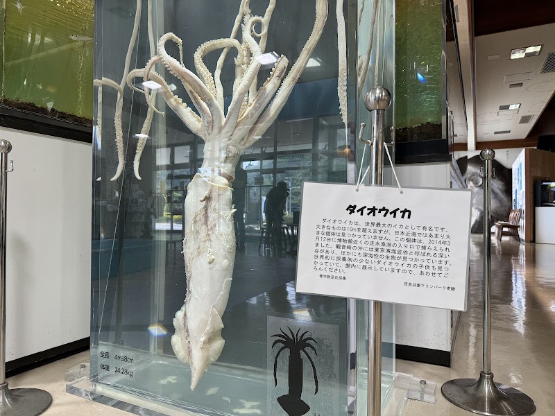 観音崎自然博物館