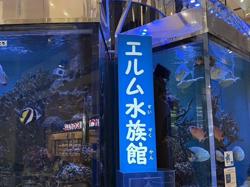 エルム水族館