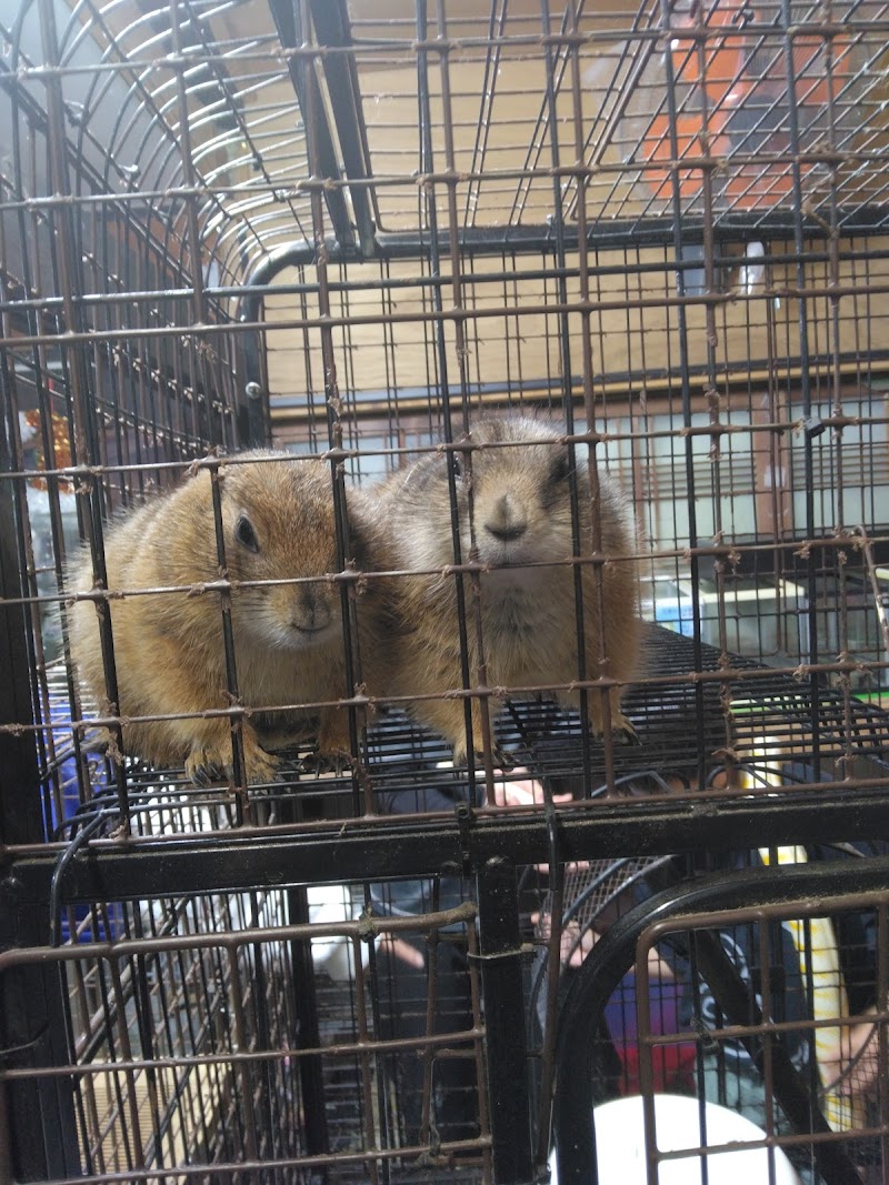 ふれあい動物園 ANIMA