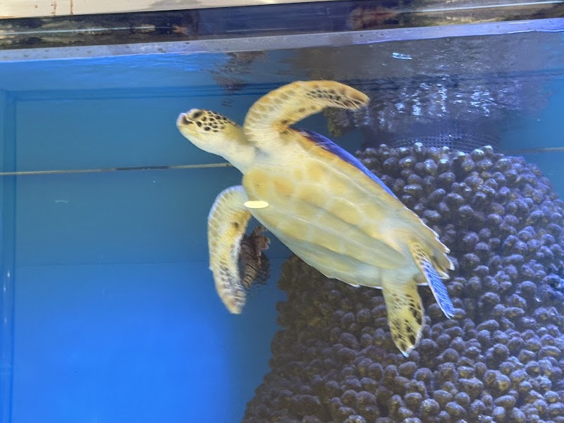 エルム水族館