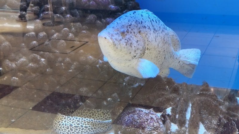 エルム水族館