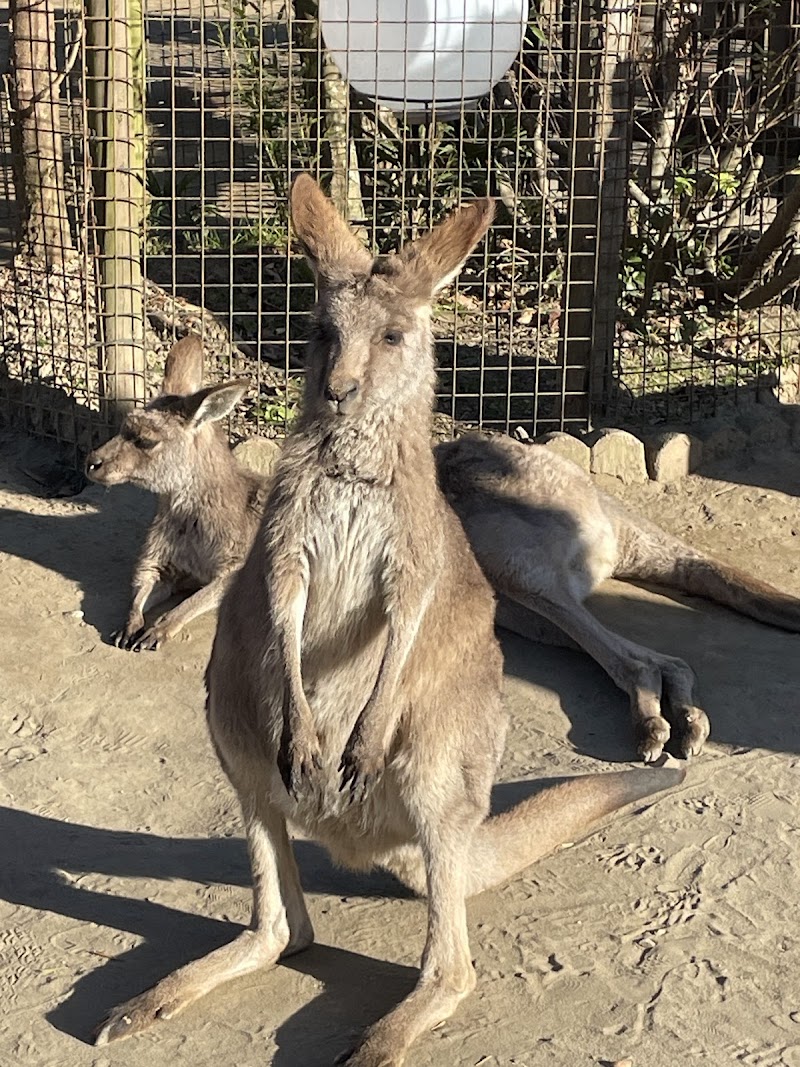 サユリワールド・市原ぞうの国～ANIMAL WONDER REZOURT～