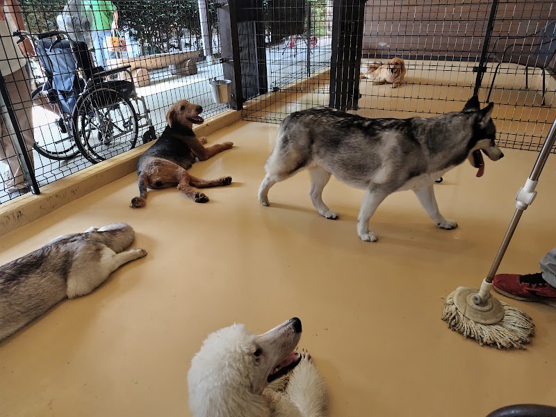 世界の名犬牧場