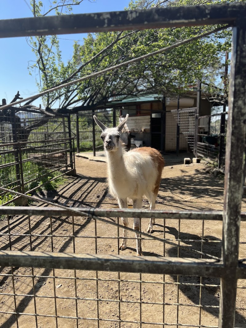 市原ぞうの国・サユリワールド～ANIMAL WONDER REZOURT～