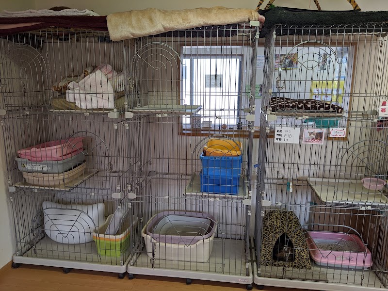 世界の猫グッズ博物館