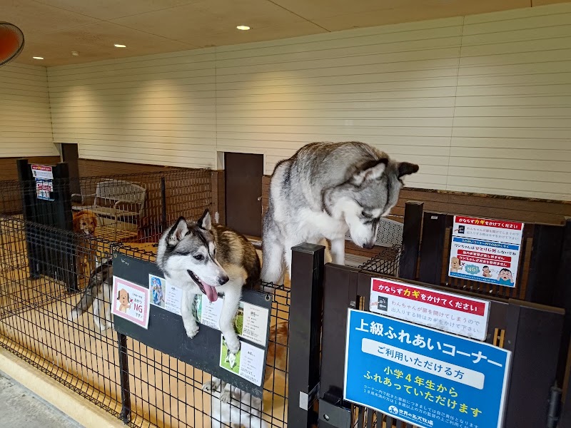 世界の名犬牧場