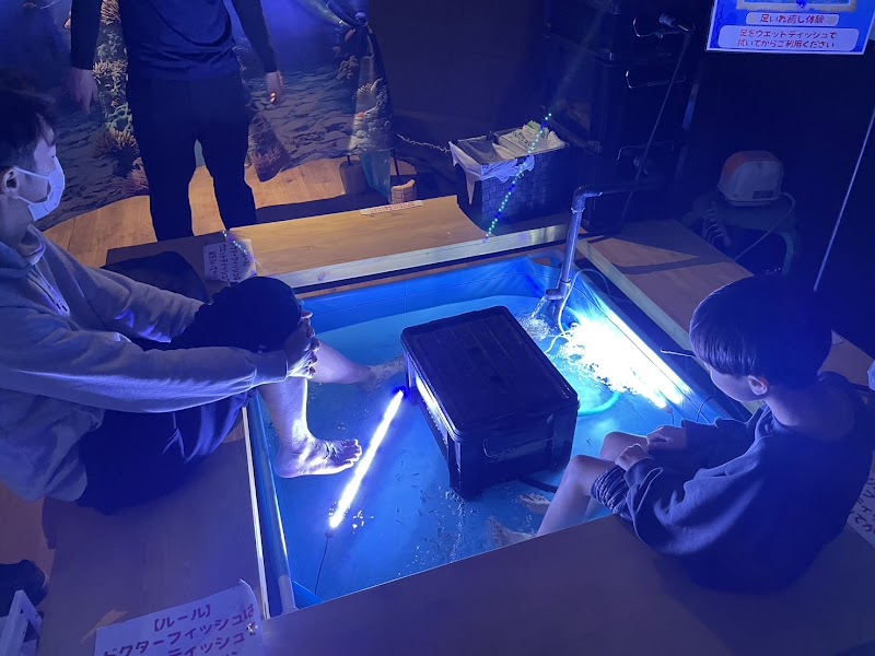 世界のふれあい水族館(東京ドイツ村)