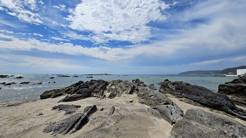 天神島臨海自然教育園