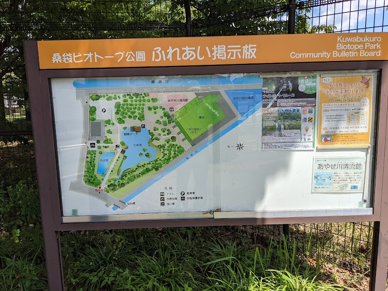 足立区桑袋ビオトープ公園