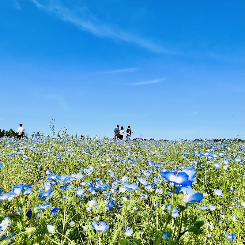富田さとにわ耕園