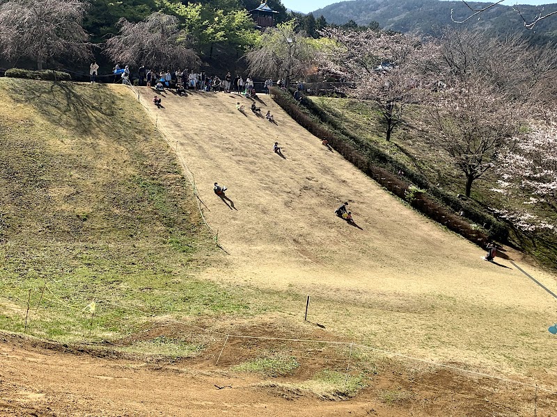 こどもの森わんぱくらんど