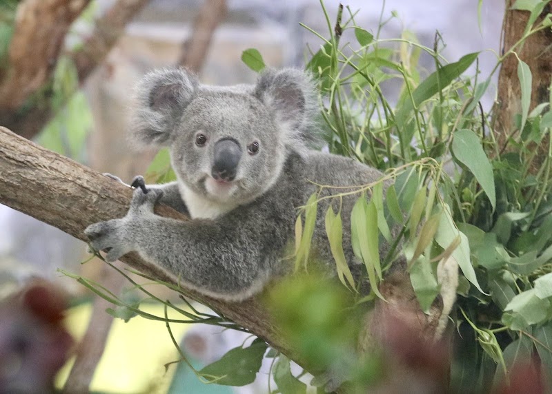 横浜市立金沢動物園