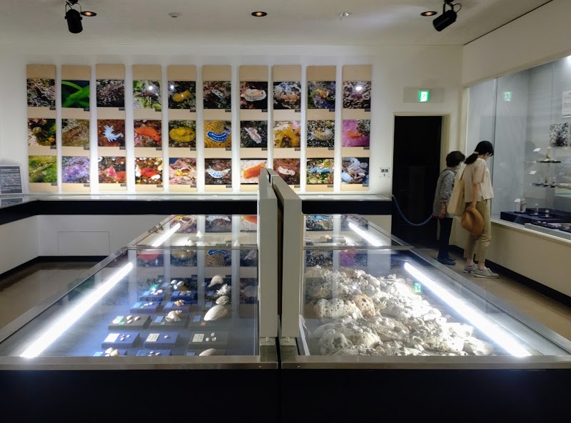 葉山しおさい博物館