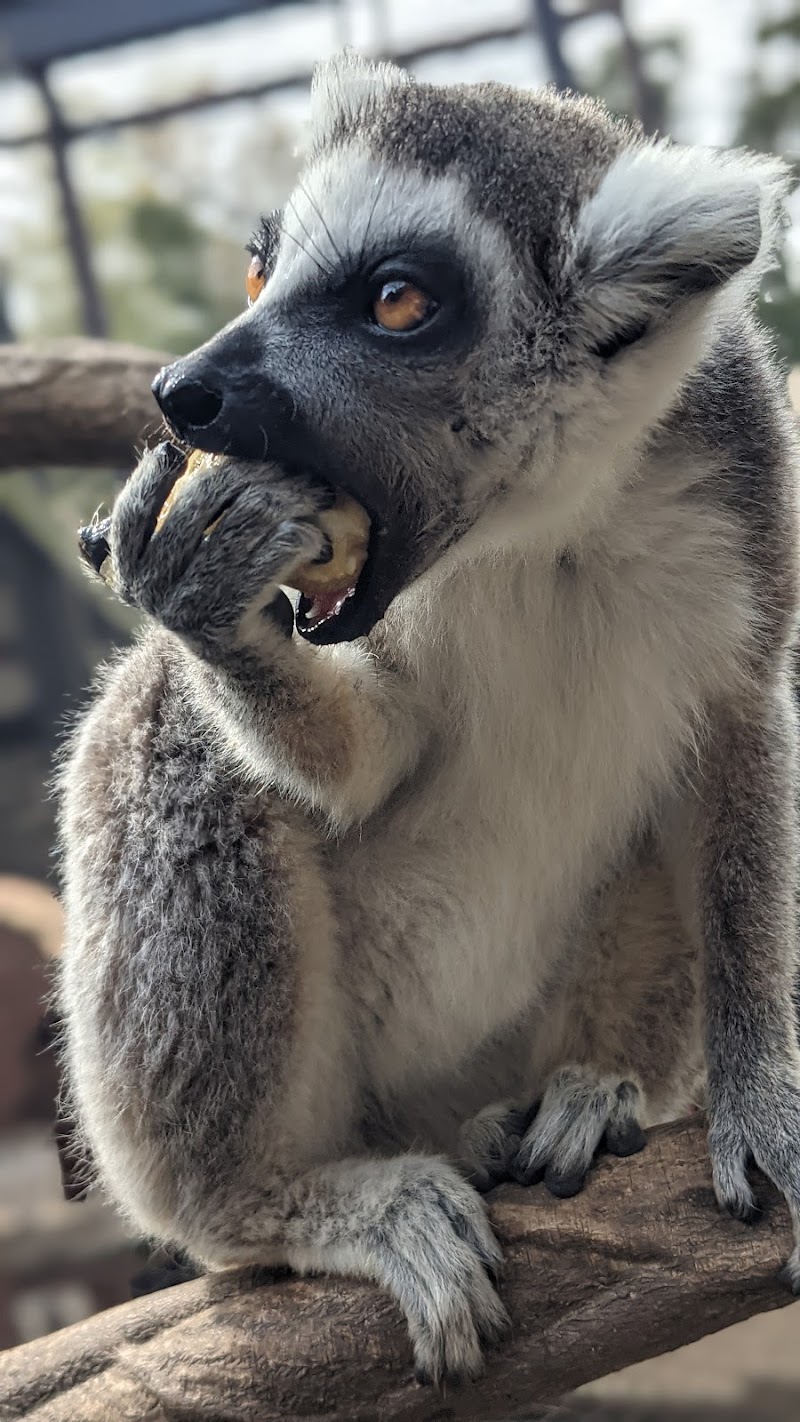 サユリワールド・市原ぞうの国～ANIMAL WONDER REZOURT～