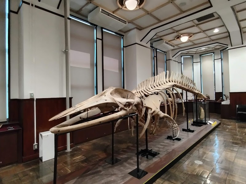 港区立郷土歴史館