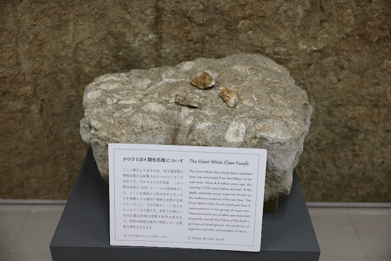 池子遺跡群資料館