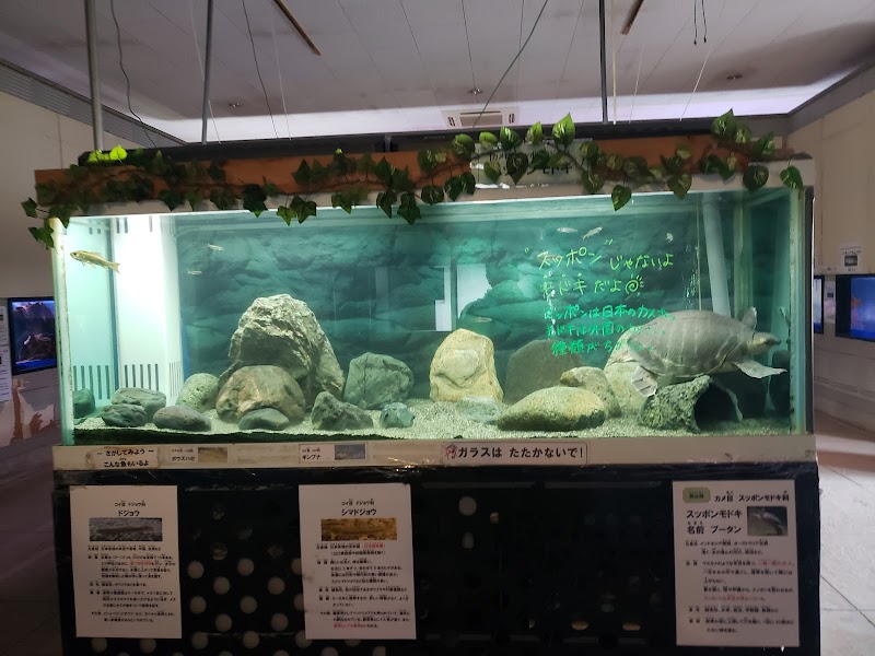 桐生が岡公園 水族館