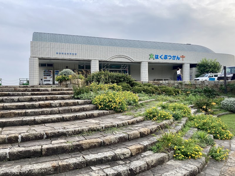 観音崎自然博物館