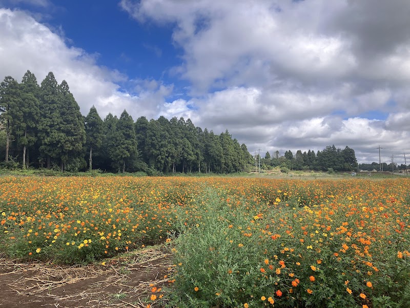 富田さとにわ耕園