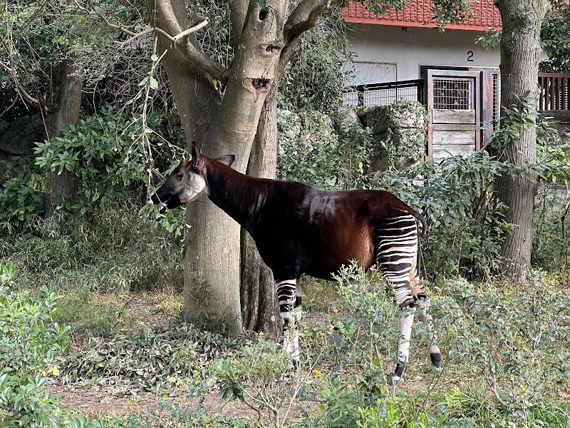 横浜市立金沢動物園