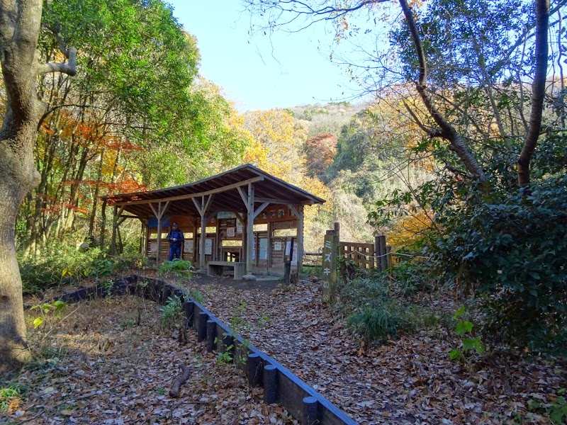 横浜自然観察の森