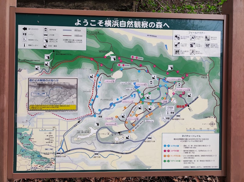 横浜自然観察の森