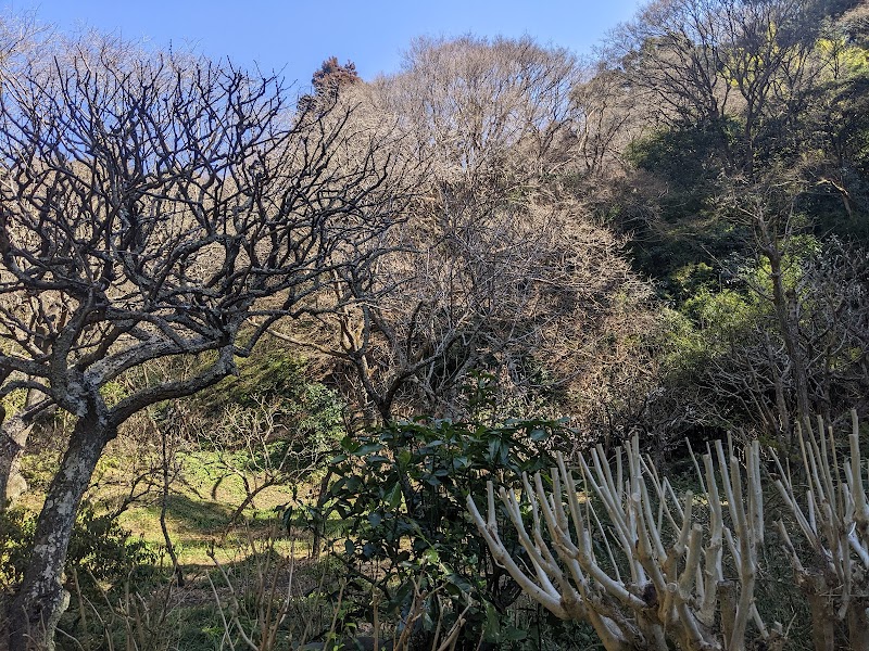 瑞泉寺庭園